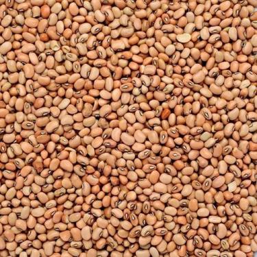 Imagem de Feijão de Corda 1Kg Novinho