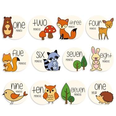 Imagem de 12 peças de cartões de marco mensal do bebê da floresta, marcadores de marco de animais de madeira para adereços de foto de recém-nascidos, rastreador de mês com tema de floresta, (floresta colorida)