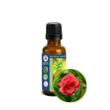 Imagem de Óleo essencial carnation Absolute (Dianthus Caryophyllus) – Aroma verde fresco, para aromaterapia, perfume, incenso, meditação espiritual, cosméticos – puro, natural, não diluído, sem cortes – 30 ml