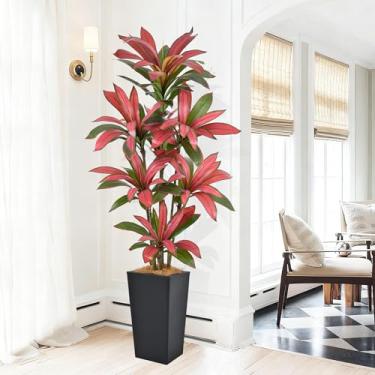 Imagem de Árvore Dracaena artificial de 1,82 m – Árvore Dracaena sintética de 182,88 cm com plantador preto, tronco realista e folhagens vermelhas realistas, planta tropical alta em vaso para casa, escritório