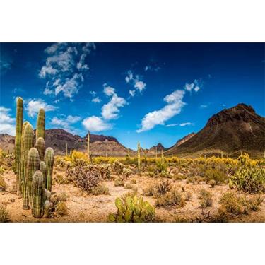 Imagem de Yeele Cenários de montanha do deserto de 3 x 2,4 m para fotografia, cacto saguaro, natureza, paisagem, fundo, selvagem, caminhadas, superstição, montanha, bebê, menina, foto, vídeo, sessão de vinil,