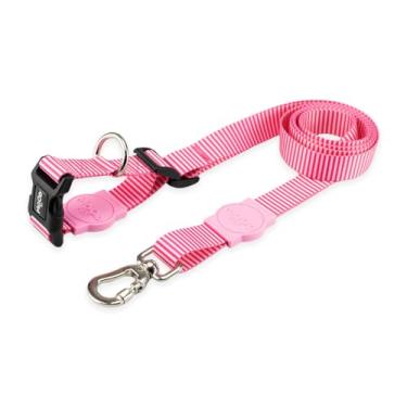 Imagem de Mood Pet Coleira Guia Mãos Livres Para Cães Cachorro Adestramento Passeio Porte Grande Médio Pequeno (Queens, M)