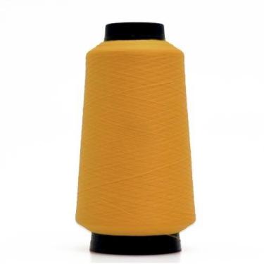 Imagem de Fio de Overlock Trichê 4500m, 648