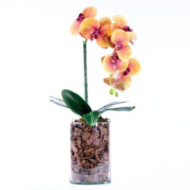 Imagem de Arranjo de Orquídea 3D Laranja em Tubo de Vidro - Vila das Flores