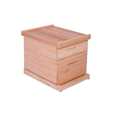 Imagem de Caixa de Abelha Padrão Langstroth Eucalipto