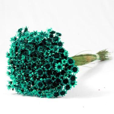 Imagem de Sempre Vivas Verde Lembrança, Decoração 600 Flores - Pense Flores
