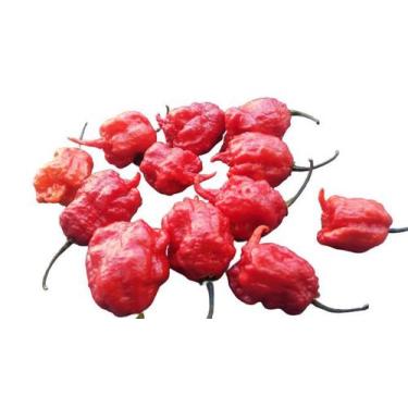 Imagem de Pimenta Carolina Reaper In Natura 12 Unidades - Severino's