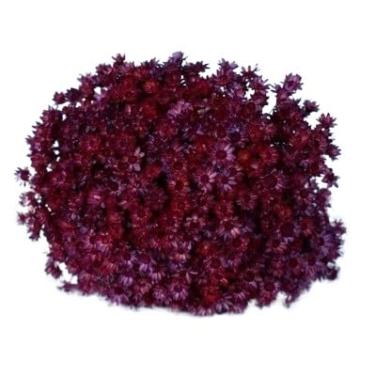 Imagem de 300 Florzinhas Sempre vivas arranjo buquê casamento chá decoração mesa Flor seca preservada(MARSALA)