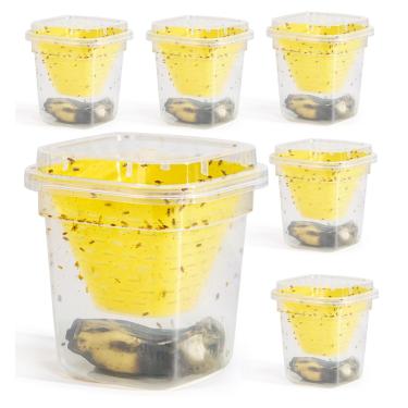 Imagem de Pestoptek Armadilha reutilizável para moscas de frutas, não tóxica, segura para crianças e animais de estimação, controle de moscas de frutas, armadilha para moscas vivas, fácil de usar para cozinha