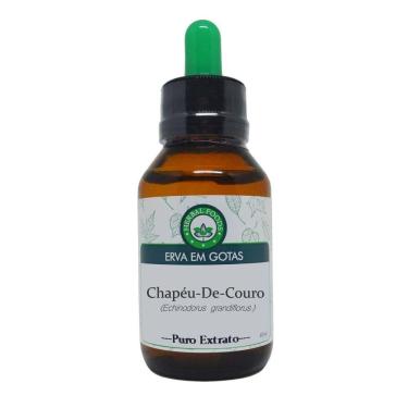 Imagem de Chapéu De Couro - Extrato 60ml (tintura Mãe)