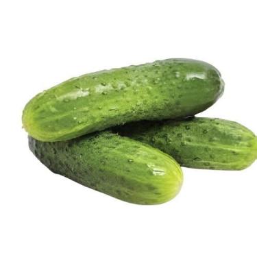 Imagem de Semente Hortaliça/Verdura/Especiaria monte seu kit personalizado - Alp