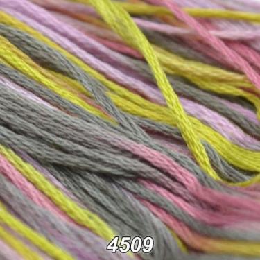 Imagem de Linha DMC Coloris 8m, 4509 - CÔTE DE GRANIT
