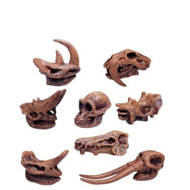 Imagem de Conjunto de estatuetas de crânio de mamífero pré-histórico, 8 peças para crianças de mais de 3 anos