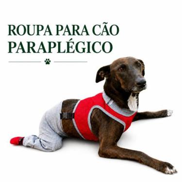 Imagem de Roupa Protetora Para Cães Paraplégicos e Com Dificuldade de Locomoção 