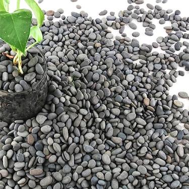 Imagem de CJGQ 7Lb River Rocks Seixos Para Plantas E Suculentas, Decorativos Paisagismo Ao Ar Livre Pedras De Jardim, Natural Pequeno Mexican Beach Seixos Aquário Rochas Cascalho Para Aquários Vaso Quintal De