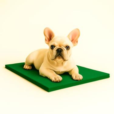 Imagem de Colchonete Impermeável para Cães, 70x50cm, Espuma Compacta, Capa Removível, Multicolorido, Uso Interno e Externo (verde)
