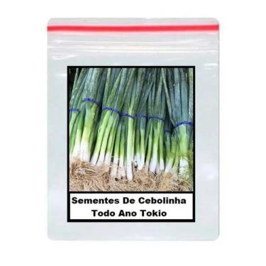 Imagem de 80 Sementes De Cebolinha Todo Ano Tokio - TOPSEED