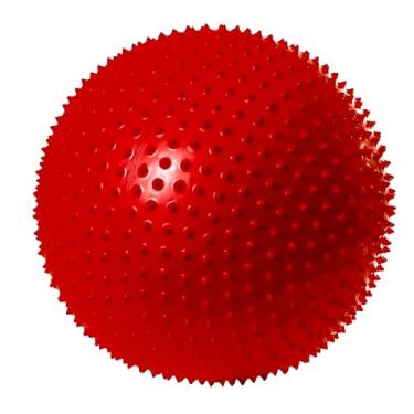 Imagem de JustGoFit Bola Suíça Cravada 65Cm Pilates Musculação Yoga Fisioterapia Roxa