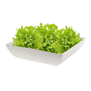 Imagem de Saladeira Quadrada 1,4 Lt Travessa Petisqueira Bege