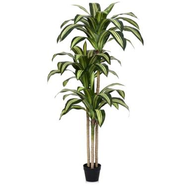 Imagem de Verinatural Árvore Dracaena artificial 1,5 m – Planta alta com piso sintético resistente a UV, plantas artificiais com folhas realistas, árvores falsas em vasos para casa, sala de estar, decoração