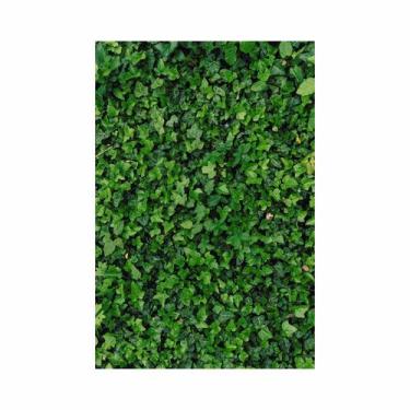 Imagem de Painel Festa Vertical em Tecido Casadinho Muro Inglês - Fabrika de Fes