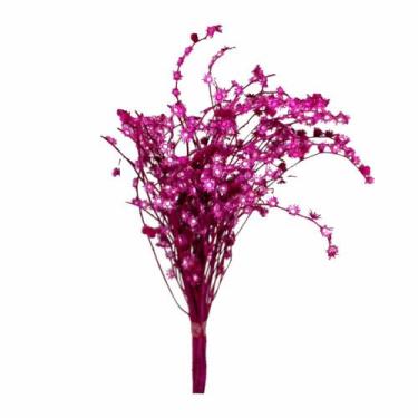 Imagem de Rosinha Pink Desidratado - Pense Flores