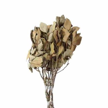 Imagem de Carne de Vaca / Carvalho Natural - Pense Flores