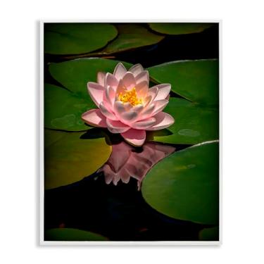 Imagem de Stupell Industries Arte giclée emoldurada branca de lótus rosa entre lírios, design por Phillip Flowers, 14 x 11