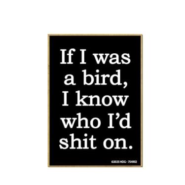 Imagem de Honey Dew Gifts, If I was a Bird, I Know Who I'd Shit On, 6,3 cm por 9 cm, decorações de armário de humor adulto, ímãs de geladeira sarcásticos, ímãs decorativos, presentes engraçados e inadequados