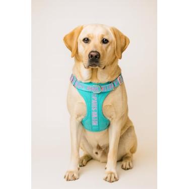 Imagem de Peitoral para animais de estimação, turquesa, tamanho M, colete ajustável para cães com anel em D