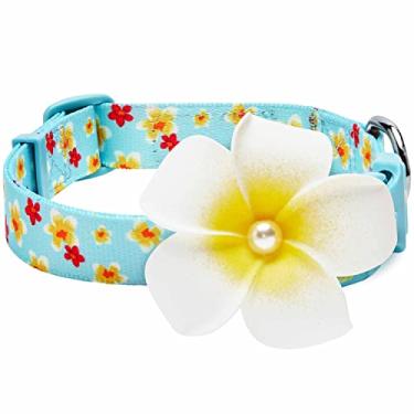 Imagem de Blueberry Pet Coleira de cachorro ajustável perfumada Plumeria com acessório destacável, Aqua, grande, pescoço 45,7 a 66 cm