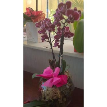 Imagem de Orquídea roxa mini - Art&flor
