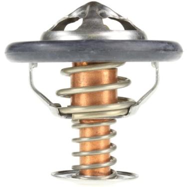 Imagem de Motorad Termostato 444-180