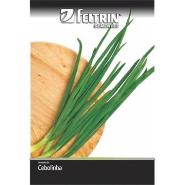Imagem de Sementes - Cebolinha Todo Ano Evergreen - Nebuka - Feltrin Sementes