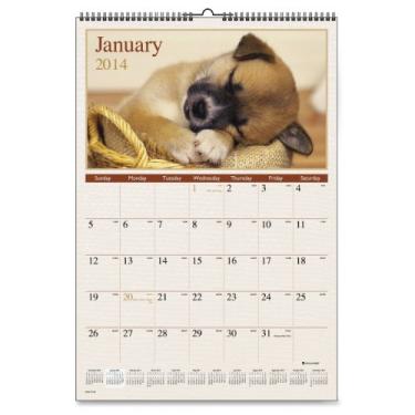 Imagem de AT-A-GLANCE Calendário mensal de parede 2015 Puppies, 39 x 57 x 0,06 cm (DMW167-28) 2018-2019