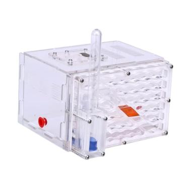 Imagem de ShengQuanHao Caixa de Exposição, Acessórios DIY, Brinquedos, Oficina, Caixa de Acrílico para Criação, Fazenda de Formigas para Decoração, Dia Crianças, Mesa