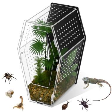 Imagem de Yalikop Habitat de aranha saltadora de acrílico versátil para répteis, habitat de terrário de insetos transparente para aranhas, tarântula, lagartixa, camaleão, besouro, louva-a-deus e caranguejo