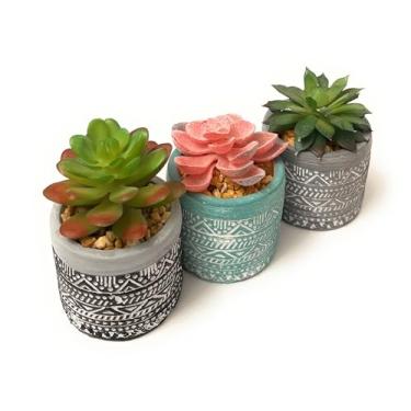 Imagem de Mini suculentas artificiais sortidas, três plantas artificiais decorativas, cada uma alojada em um pequeno vaso de cerâmica.
