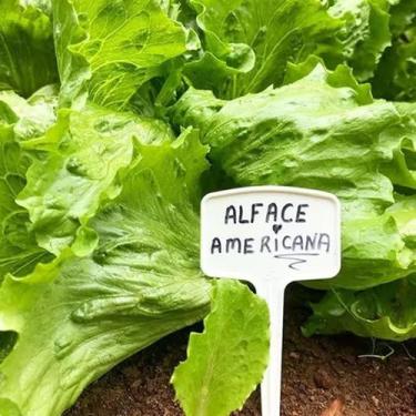 Imagem de kit 5 a 10 Etiquetas plaquinhas de identificação para horta plantas ja