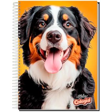 Imagem de CADERNO UNIVERSITÁRIO C/D ESPIRAL 20 MATÉRIAS 320 FLS CLUBE COLEGIAL