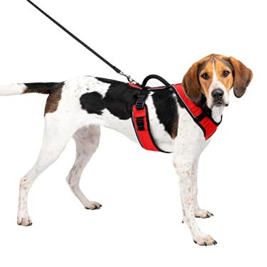 Imagem de Peitoral para cães PetSafe EasySport, peitoral acolchoado ajustável para cães com alça de controle e faixa reflexiva PetSafe 536074, grande