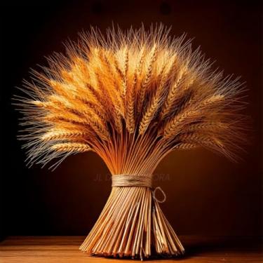 Imagem de Hastes de Trigo Seco para Decoração Arranjos Mesa Casamento Artesanato Natural Elegante(300)