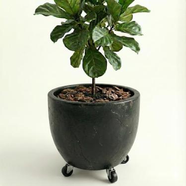 Imagem de Genérico Vaso Redondo para Plantas, Uso Interno, Grande, Cinza, Plástico, Liso/Simples, Redondo, Chão, Vaso de Plantas, 11x12x10 cm