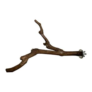 Imagem de Apoio para Pássaro Treinamento de Plataforma Brincadeira Brinquedos Gaiola Feitos Vinhas Uva