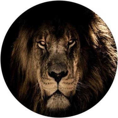 Imagem de Capa De Estepe Leão Africano