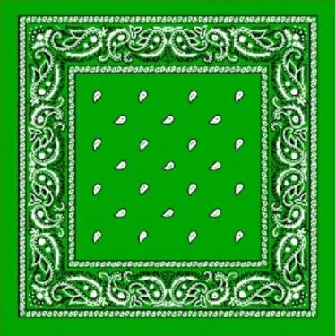 Imagem de Bandana verde - Recupera 