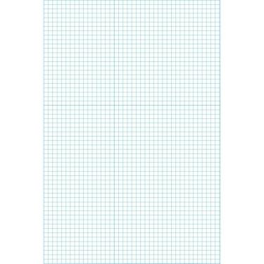 Imagem de Papel Almaço Quadriculado Tamoio 0,5x0,5cm Reforçado de Alta Qualidade para Uso Escolar