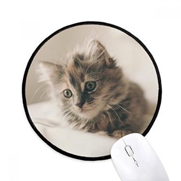 Imagem de Animal Kitty gato cinza fotografia mouse pad desktop escritório tapete redondo para computador