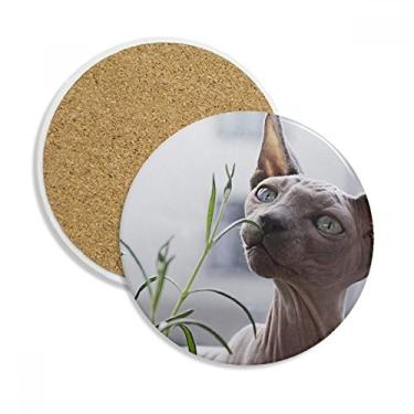 Imagem de Caneca de porta-copos com fotografia de gato fino cinza animal Caneca de proteção de mesa Pedra absorvente