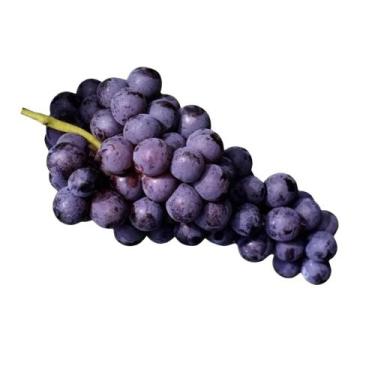 Imagem de Muda Frutífera de Uva Vênus Enxertada (Sem Semente) - AgroJardim